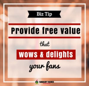 Provide free value to delight your fans