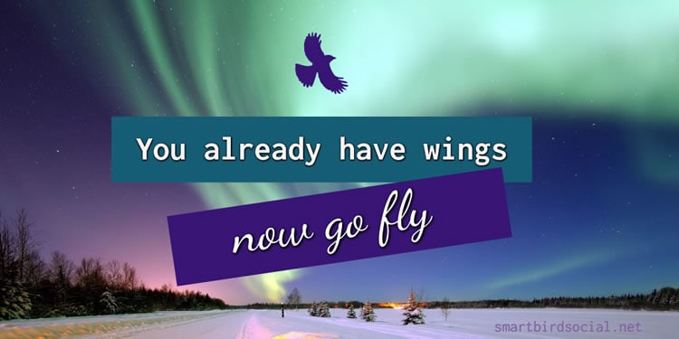 Motivational quotes for entrepreneurs - You already have wings now go fly