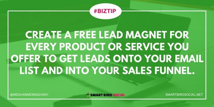 Website changes to increase sales - Create a free lead magnet