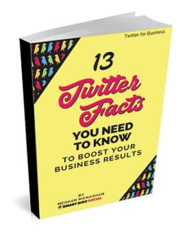 13 Twitter Facts You Need to Know - free eBook
