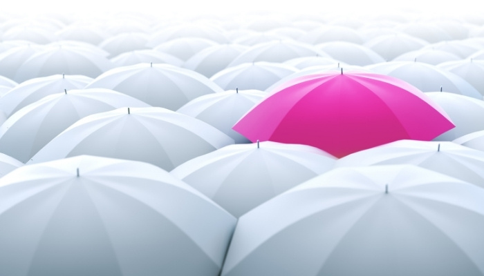 photo - pink umbrella among white umbrellas - use your unique insight to differentiate yourself